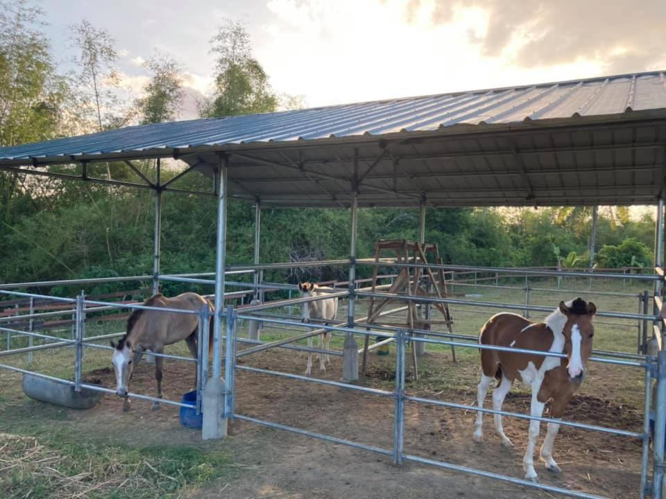 Ataalaya Farmhouse Batangas Zewnętrze zdjęcie