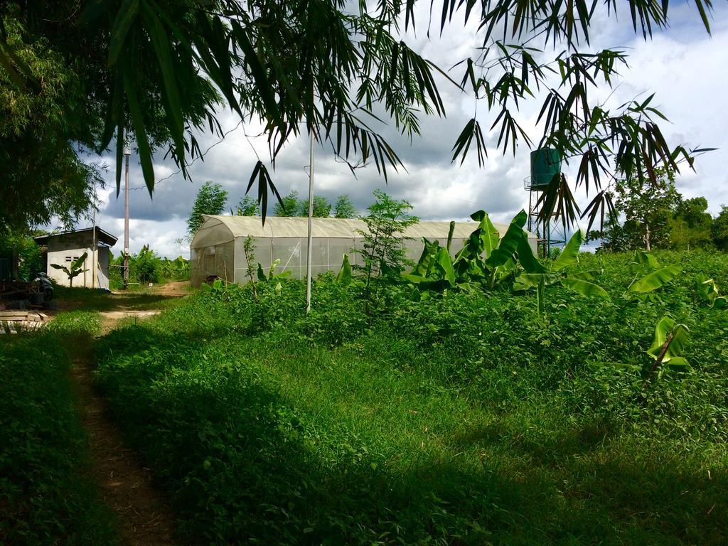 Ataalaya Farmhouse Batangas Zewnętrze zdjęcie